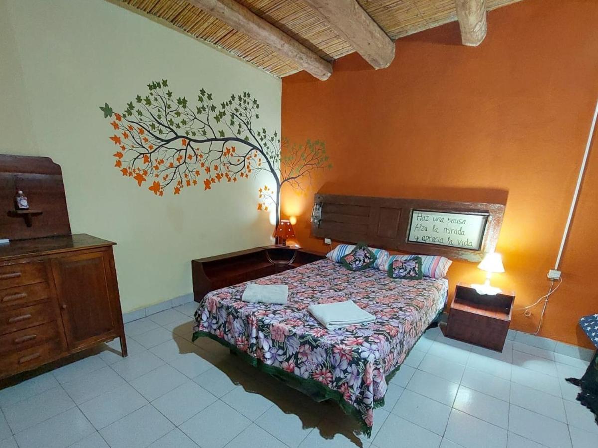 Munay Ecohostal - Cabanas De Adobe Tinogasta Buitenkant foto
